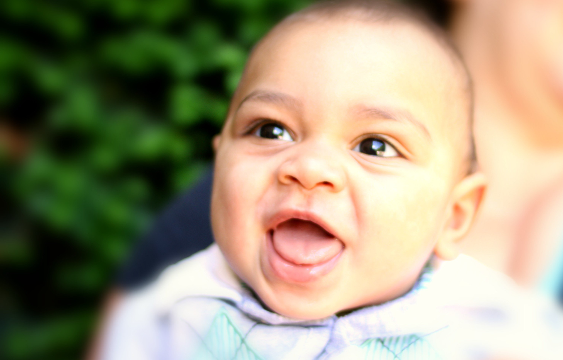 Baby Canaan – scroll bar